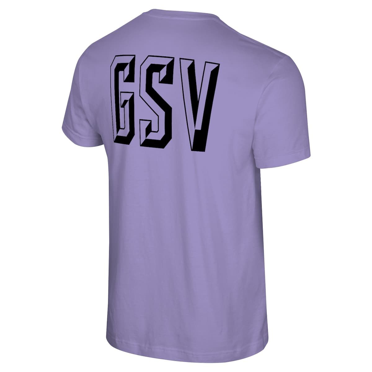 WNBA Unisex Violet Golden State Valkyries Origins Statement T-Shirt