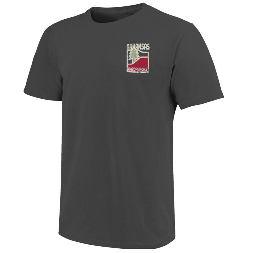 NCAA Arkansas Razorbacks Minimal Vista Distressed Graphics T-Shirt