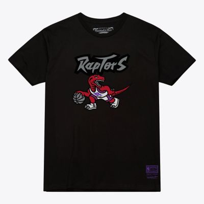Mitchell & Ness NBA Unisex Toronto Raptors Hardwood Classics Arch T-Shirt, Black, Small