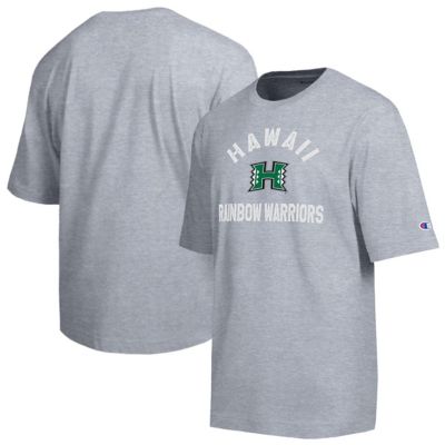 Champion Men's NCAA Hawaii Rainbow Warriors Weathered Team T-Shirt