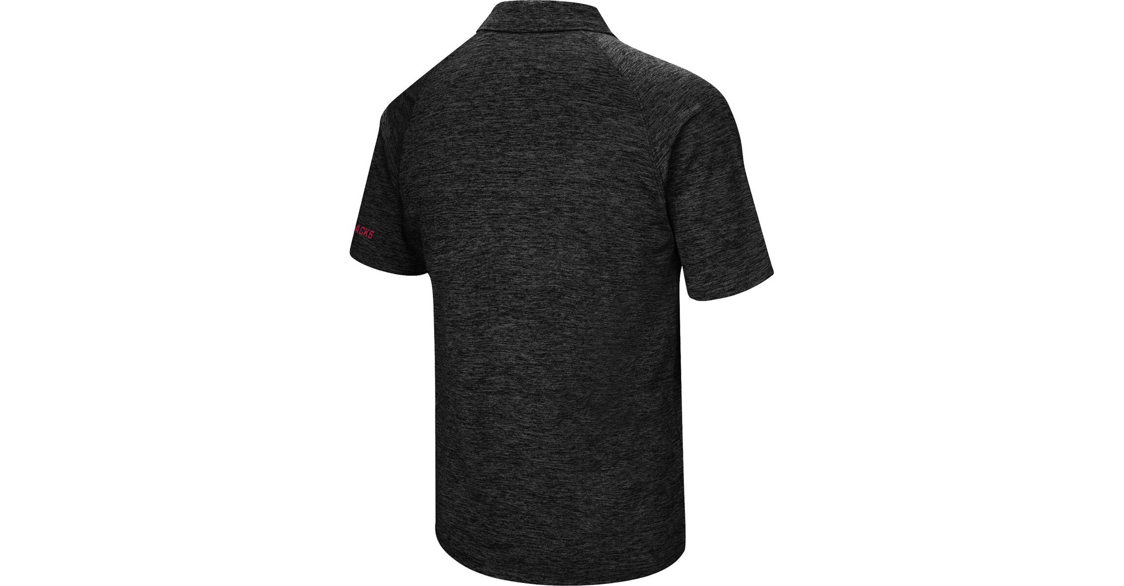 NCAA Arkansas Razorbacks Down Swing Polo