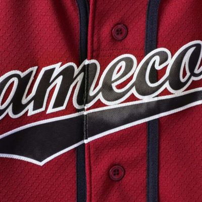 NCAA Under Armour South Carolina Gamecocks Performance Replica Baseball Jersey