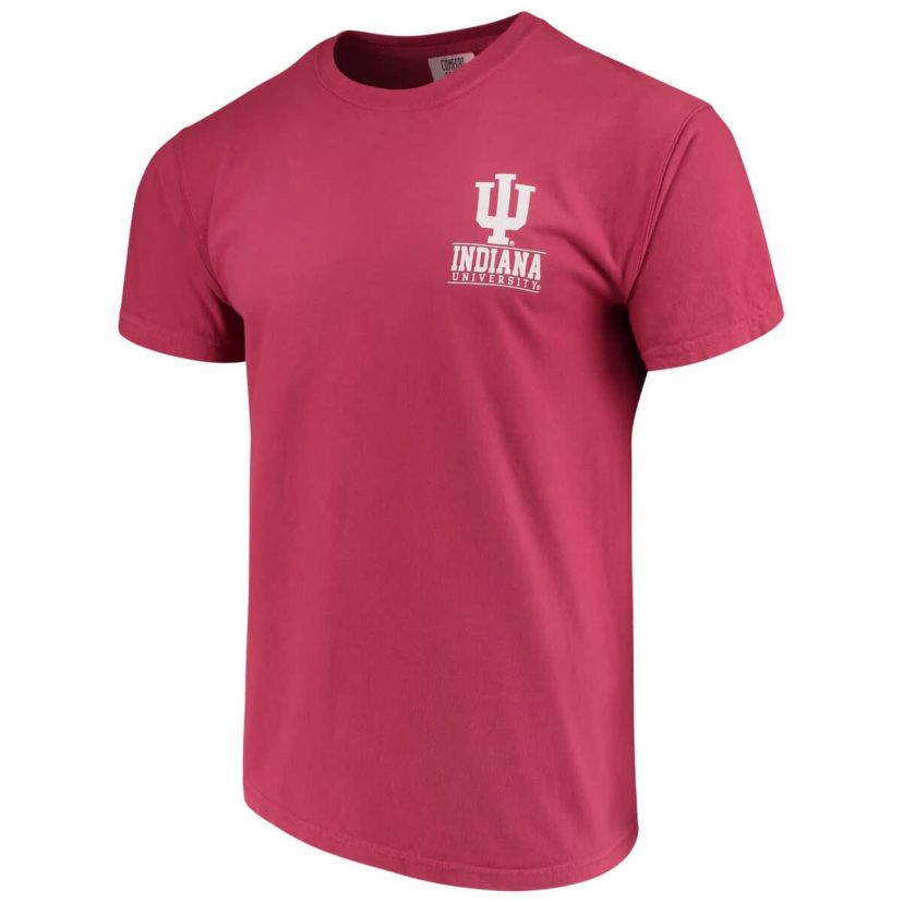 NCAA Indiana Hoosiers Campus Icon T-Shirt