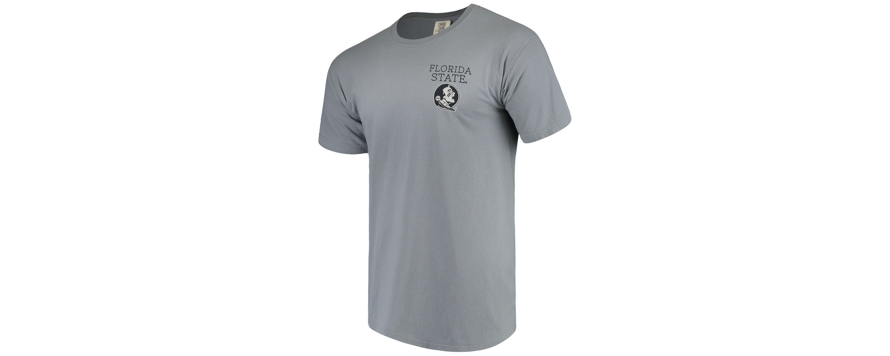 NCAA Florida State Seminoles Campus Scenery T-Shirt