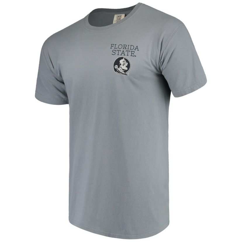 NCAA Florida State Seminoles Campus Scenery T-Shirt