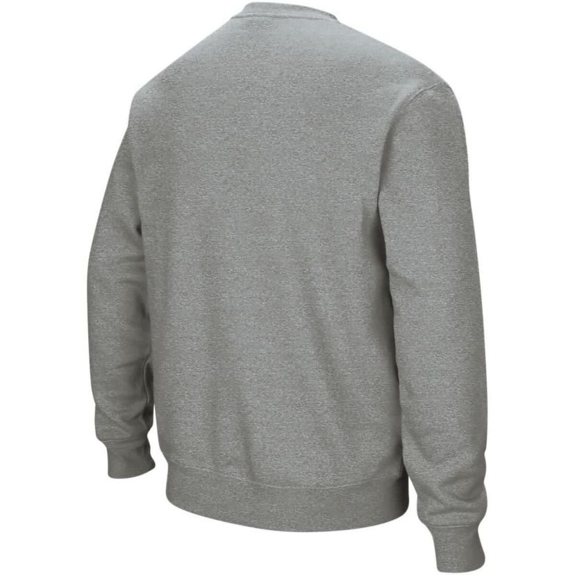 NCAA ed Auburn Tigers Arch & Logo Crew Neck Sweatshirt