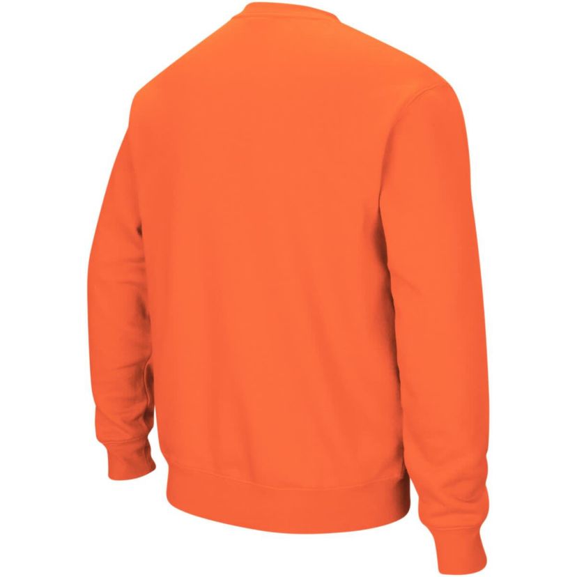 NCAA Auburn Tigers Arch & Logo Crew Neck Sweatshirt