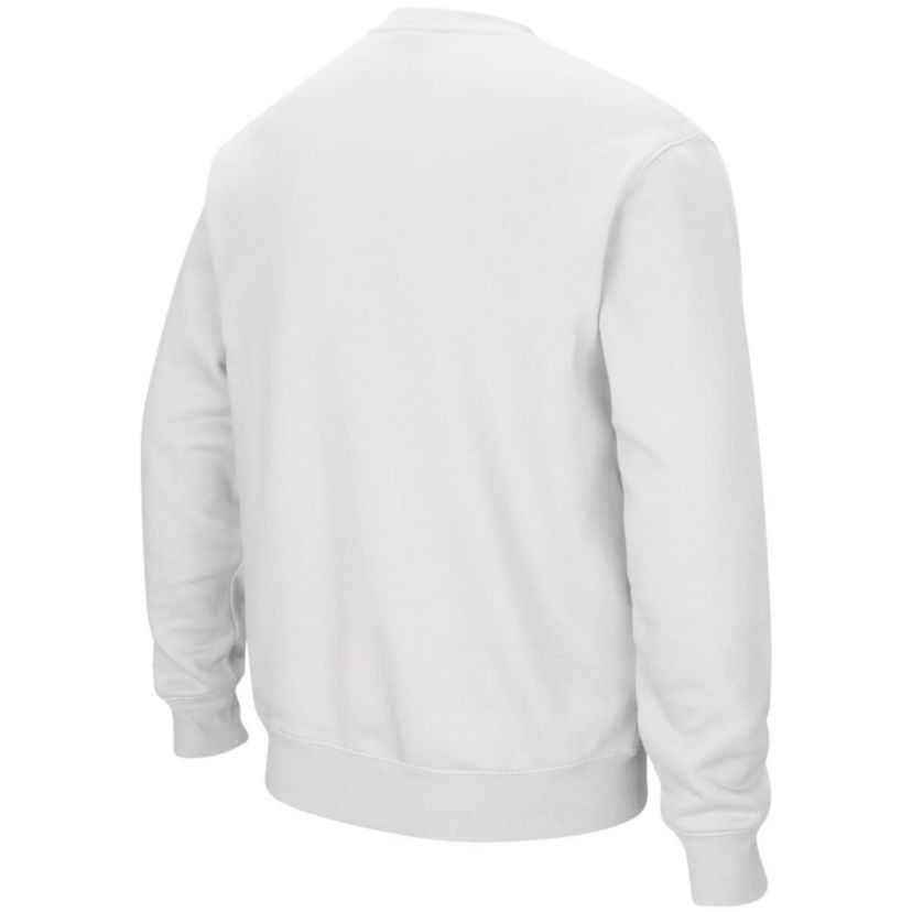 NCAA Auburn Tigers Arch & Logo Crew Neck Sweatshirt