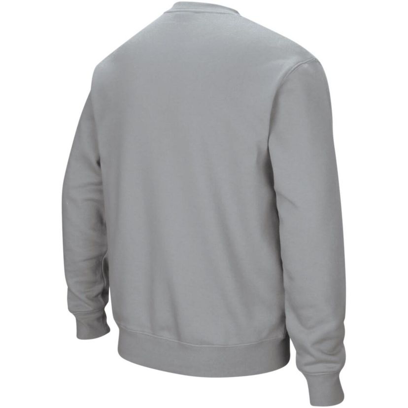 NCAA ed Clemson Tigers Arch & Logo Crew Neck Sweatshirt