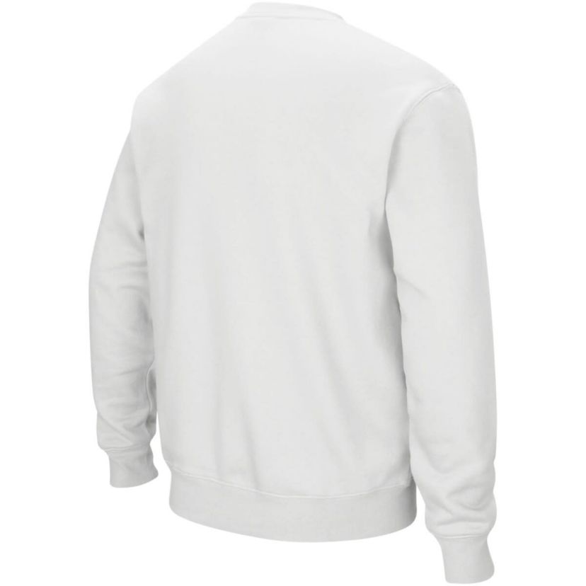 NCAA Illinois Fighting Illini Arch & Logo Crew Neck Sweatshirt