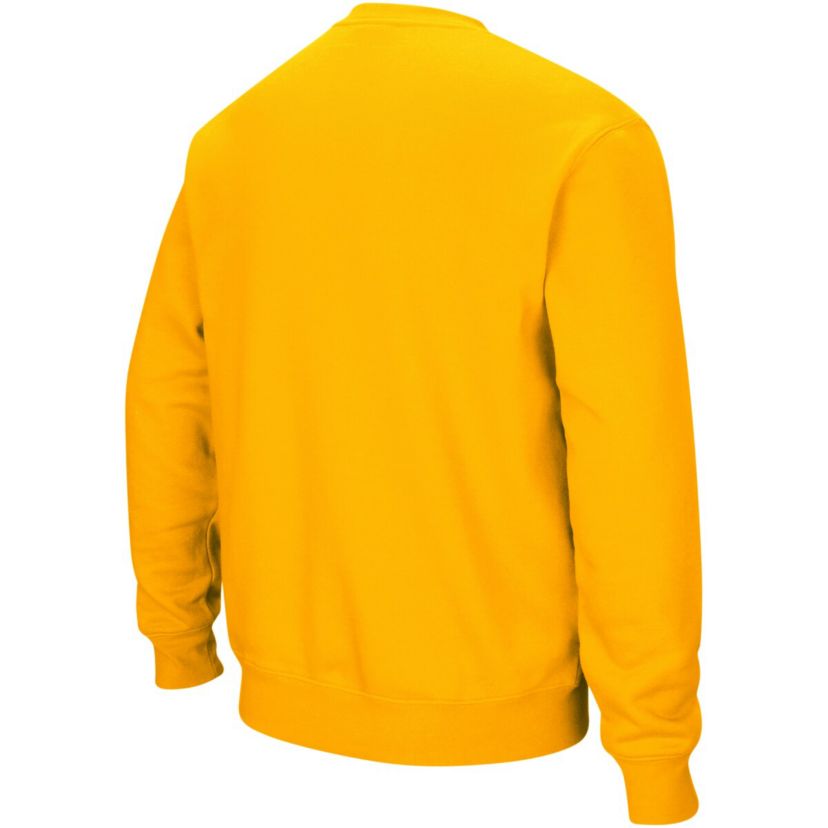 NCAA Iowa Hawkeyes Arch & Logo Crew Neck Sweatshirt