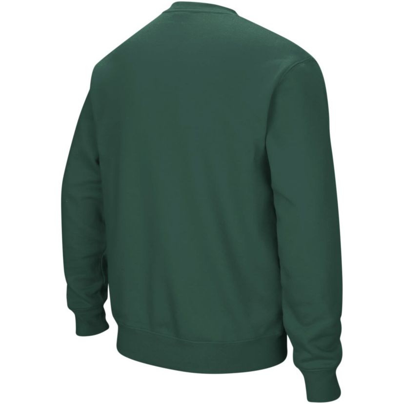 NCAA Michigan State Spartans Arch & Logo Crew Neck Sweatshirt
