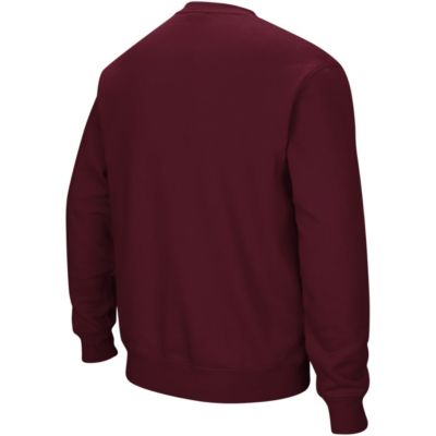 NCAA Montana Grizzlies Arch & Logo Crew Neck Sweatshirt