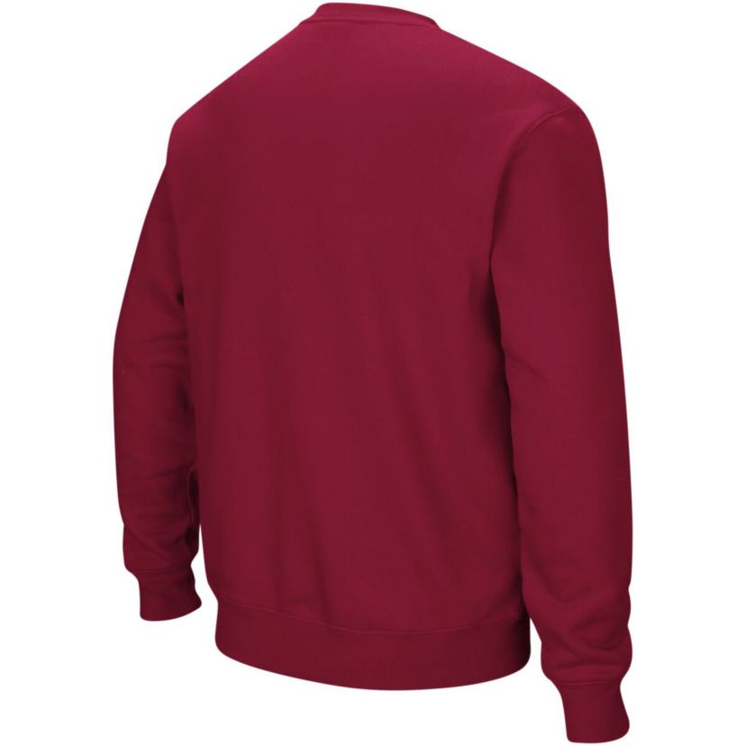 NCAA Florida State Seminoles Arch & Logo Crew Neck Sweatshirt