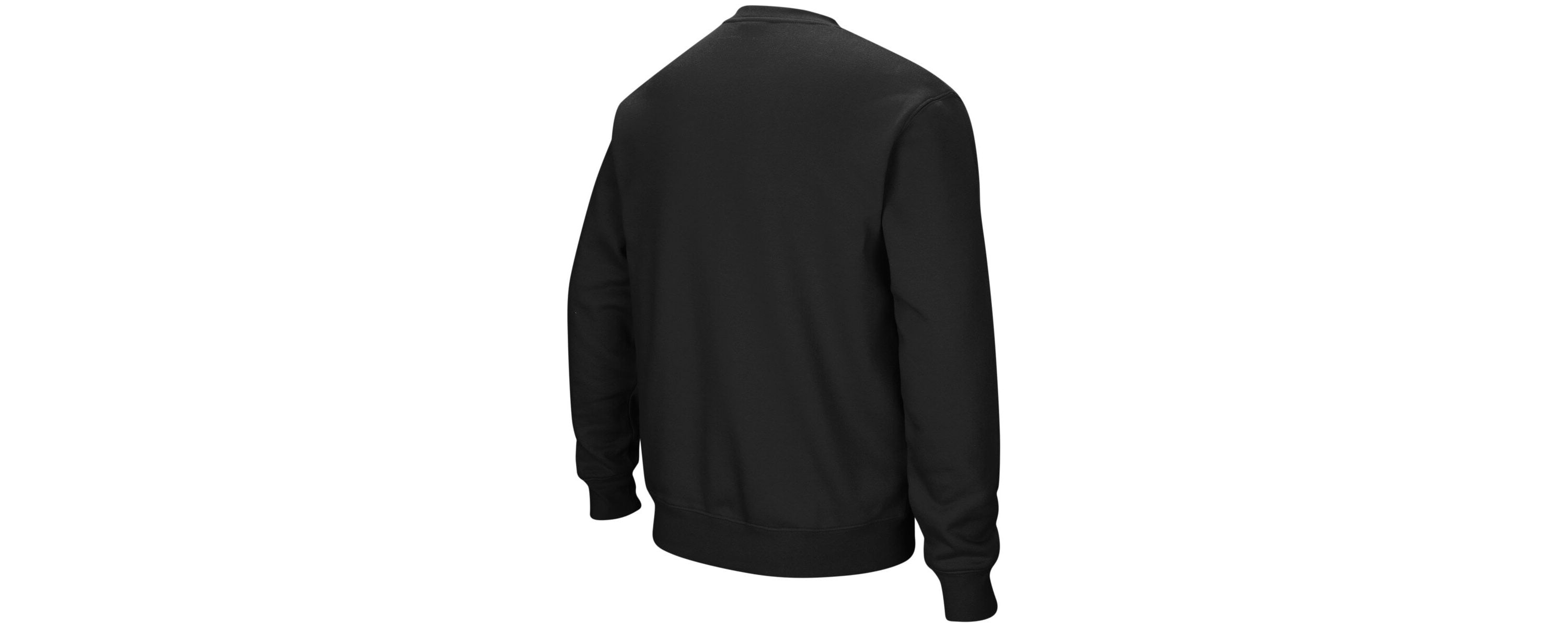 NCAA Northwestern Wildcats Arch & Logo Crew Neck Sweatshirt