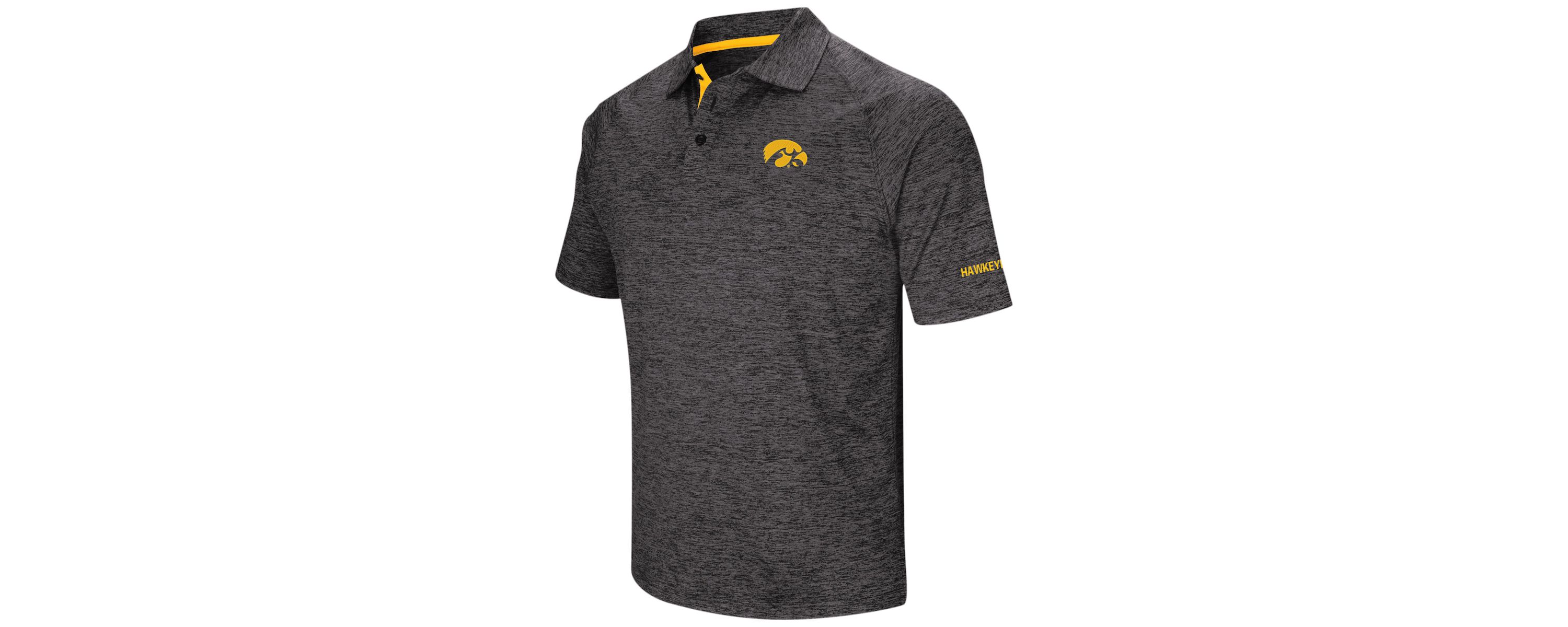 NCAA Iowa Hawkeyes Big & Tall Down Swing Polo