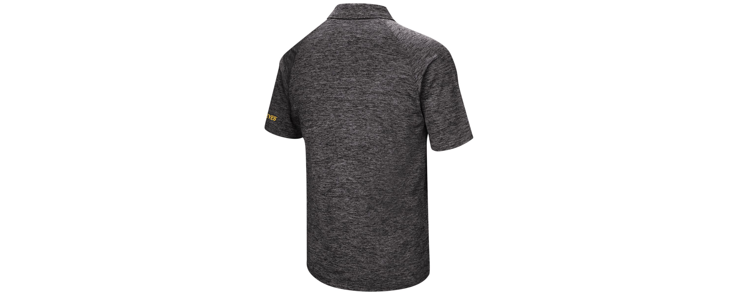 NCAA Iowa Hawkeyes Big & Tall Down Swing Polo