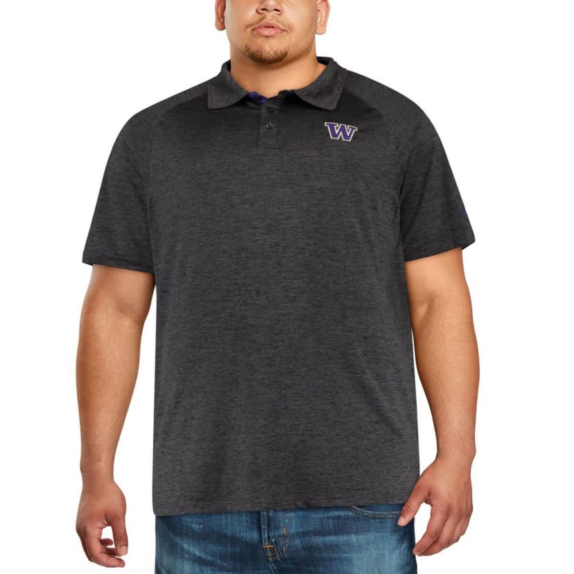 NCAA Washington Huskies Big & Tall Down Swing Polo