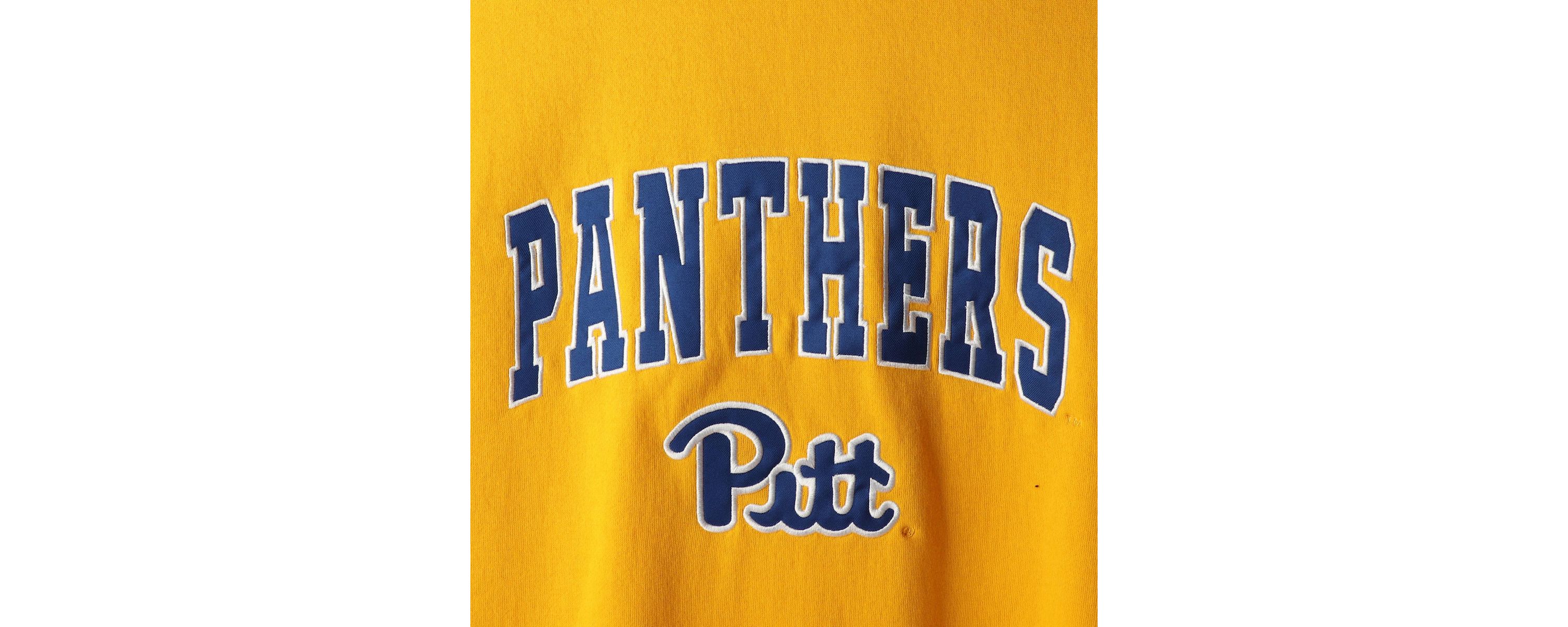 NCAA Pitt Panthers Arch & Logo Sweatshirt
