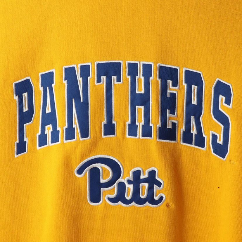 NCAA Pitt Panthers Arch & Logo Sweatshirt