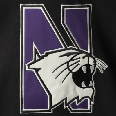 NCAA Northwestern Wildcats 2.0 Lace-Up Pullover Hoodie