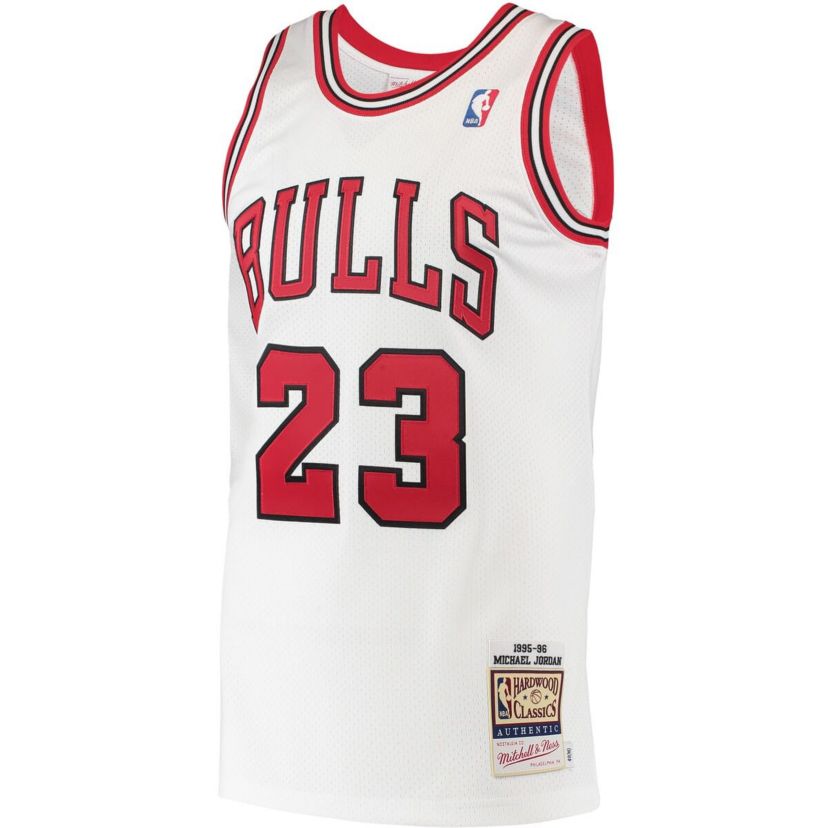 NBA Michael Jordan Chicago Bulls 1995 Hardwood Classics Authentic Jersey