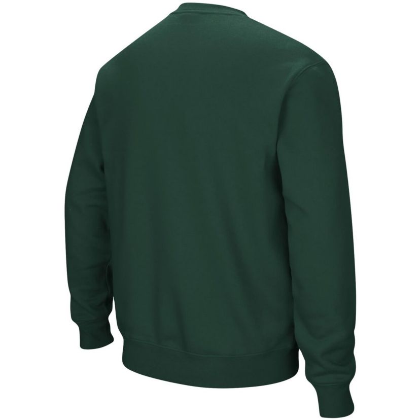 Tulane Green Wave NCAA Tulane Wave Arch & Logo Tackle Twill Pullover Sweatshirt
