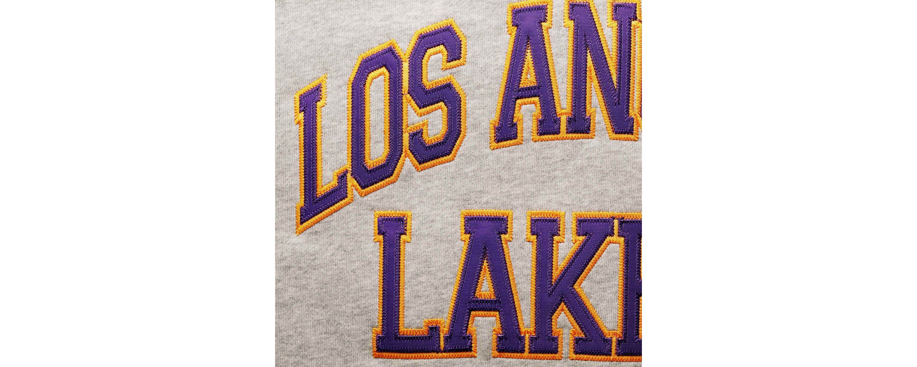 NBA Magic Johnson ed Los Angeles Lakers Big & Tall Name & Number Pullover Hoodie