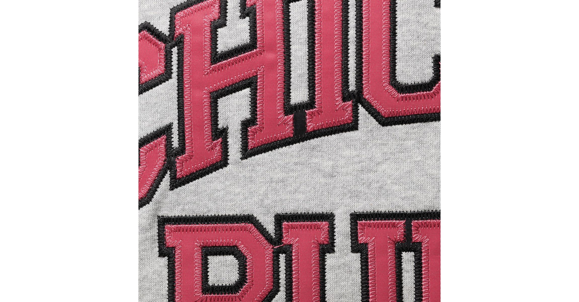 NBA Scottie Pippen ed Chicago Bulls Big & Tall Name & Number Pullover Hoodie
