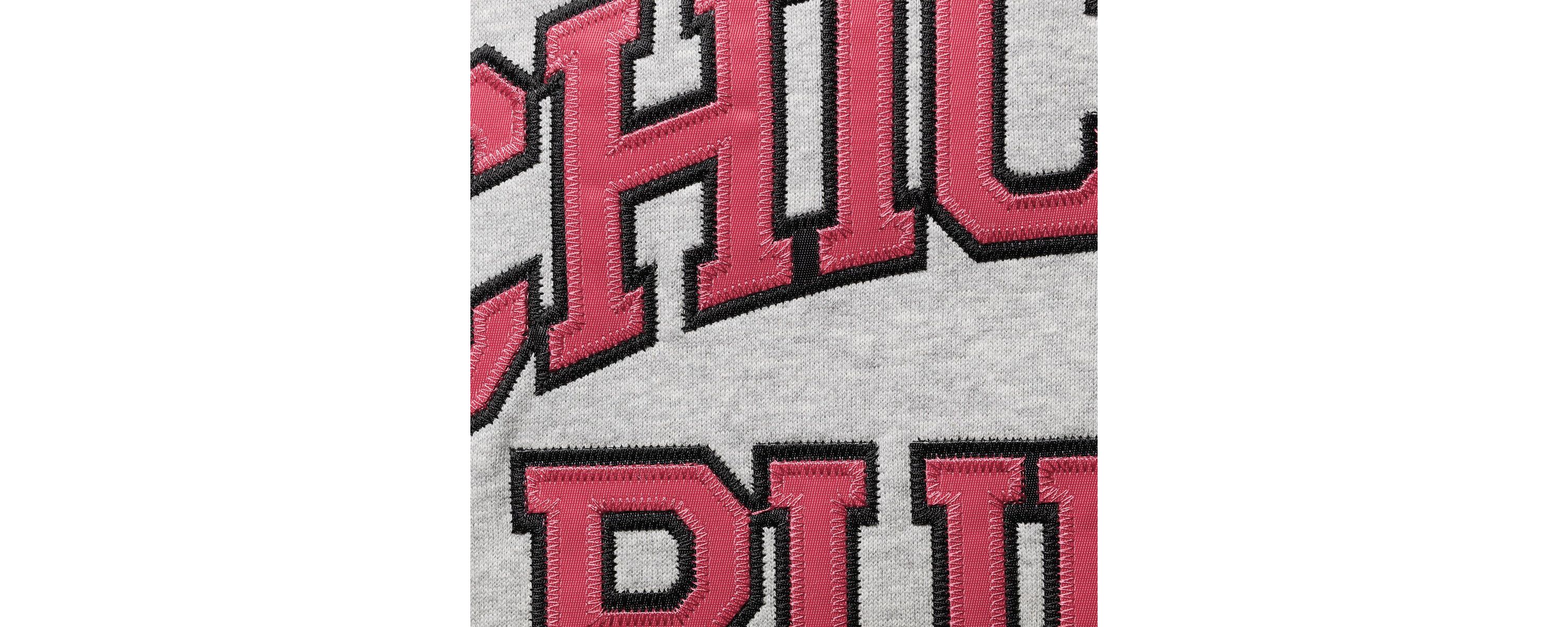 NBA Scottie Pippen ed Chicago Bulls Big & Tall Name & Number Pullover Hoodie