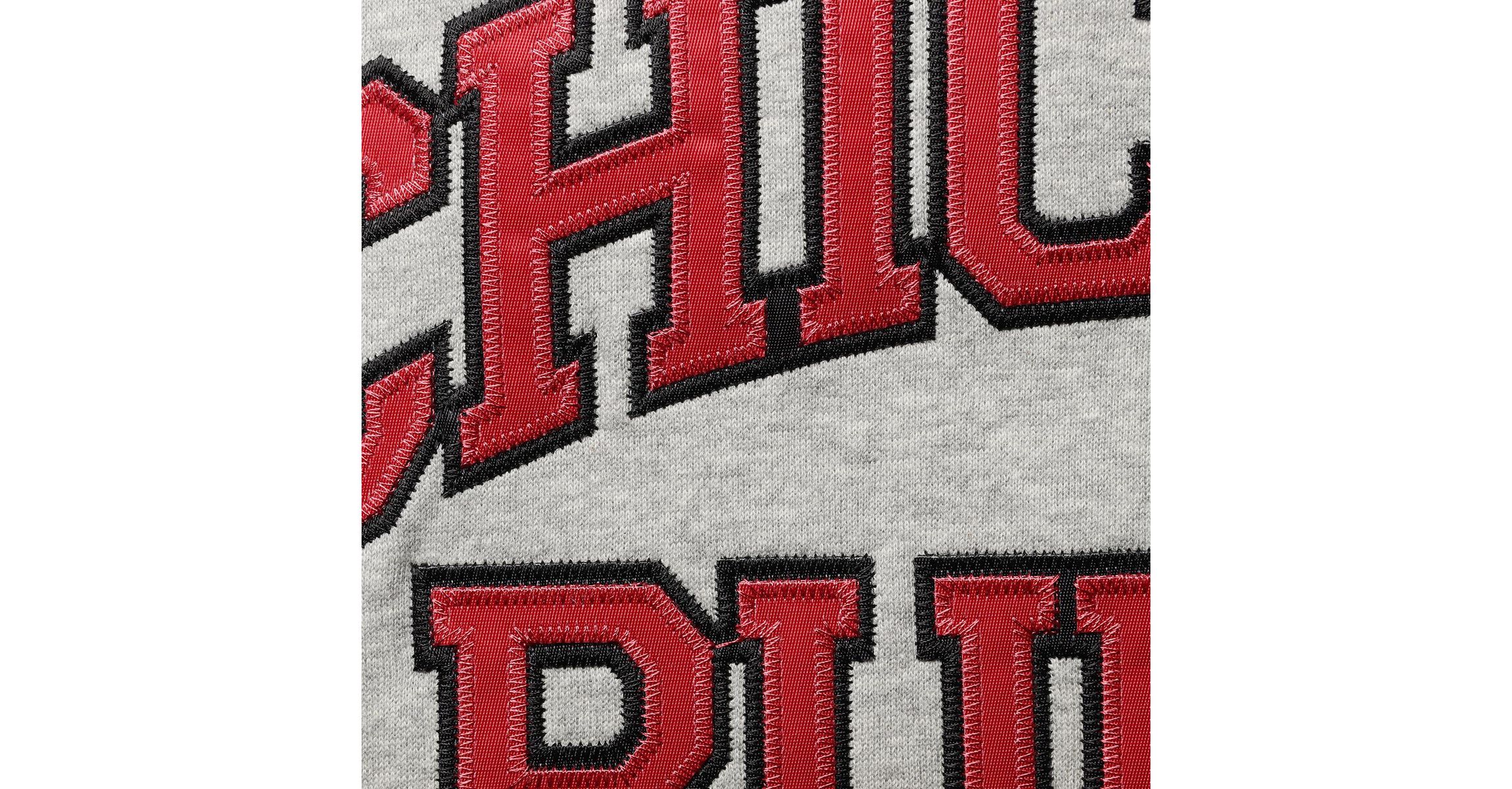 NBA Dennis Rodman ed Chicago Bulls Big & Tall Name & Number Pullover Hoodie