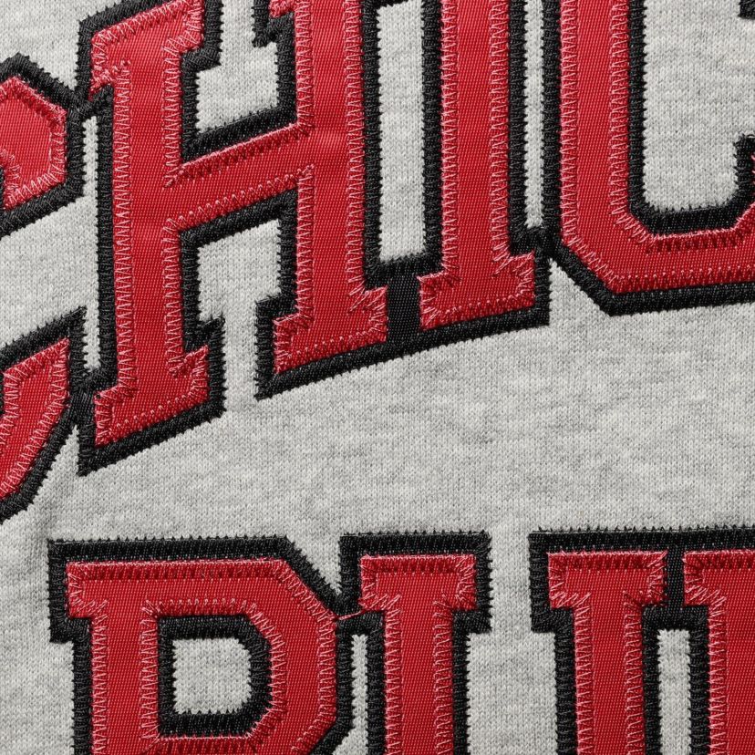 NBA Dennis Rodman ed Chicago Bulls Big & Tall Name & Number Pullover Hoodie
