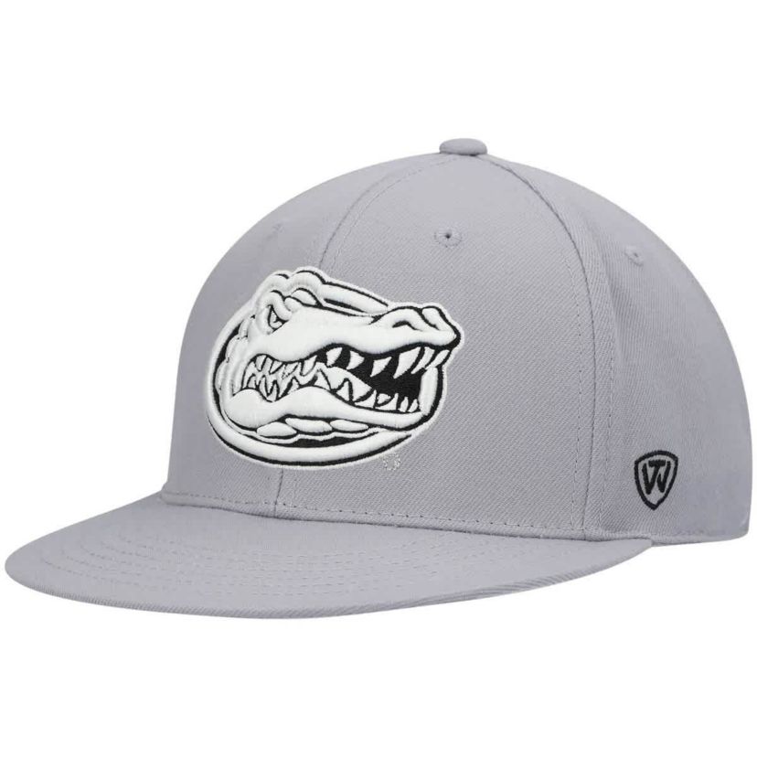 NCAA Florida Gators Fitted Hat