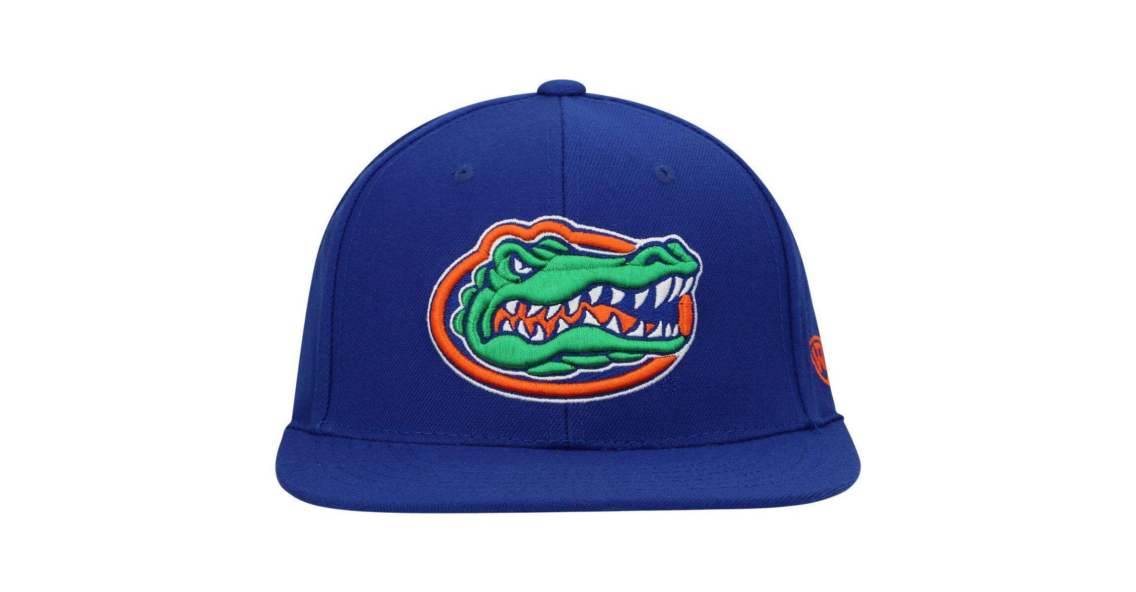 NCAA Florida Gators Team Color Fitted Hat
