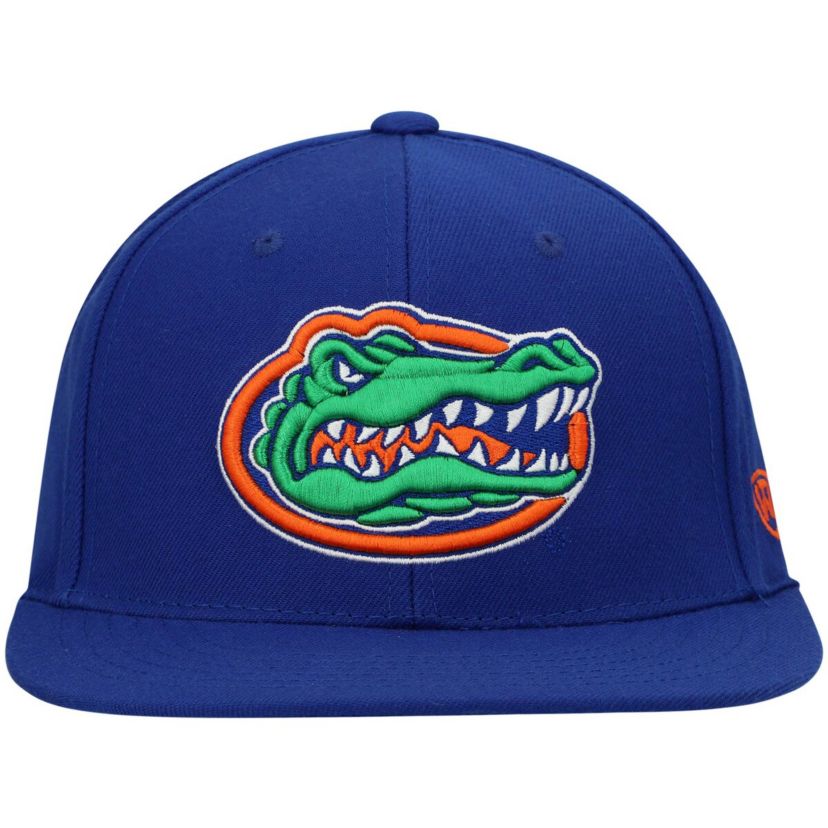 NCAA Florida Gators Team Color Fitted Hat