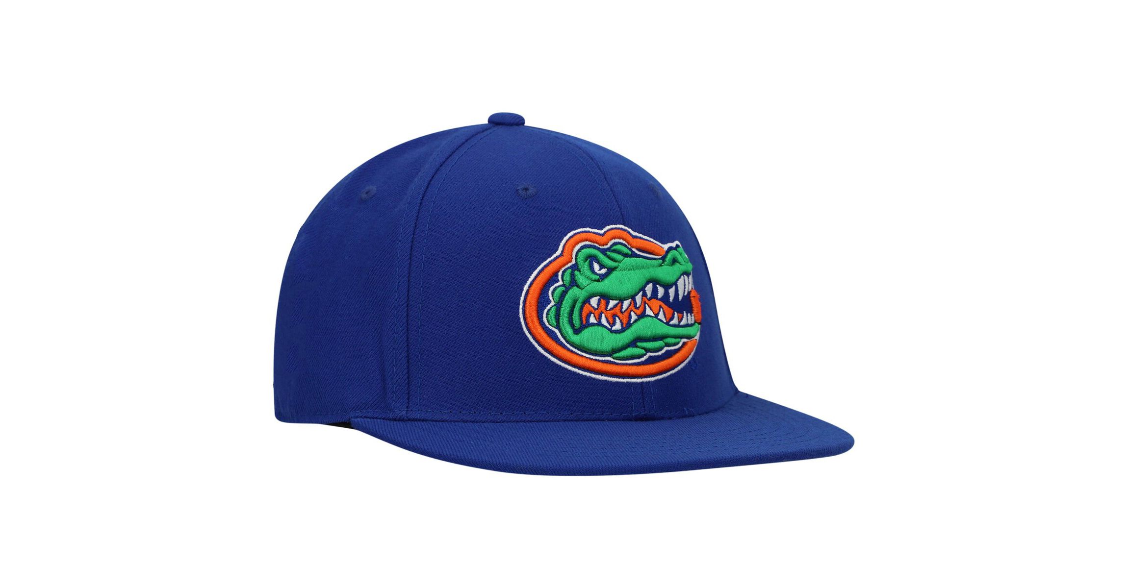 NCAA Florida Gators Team Color Fitted Hat