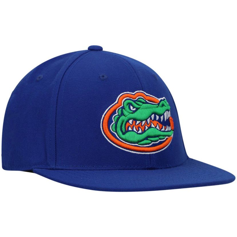NCAA Florida Gators Team Color Fitted Hat