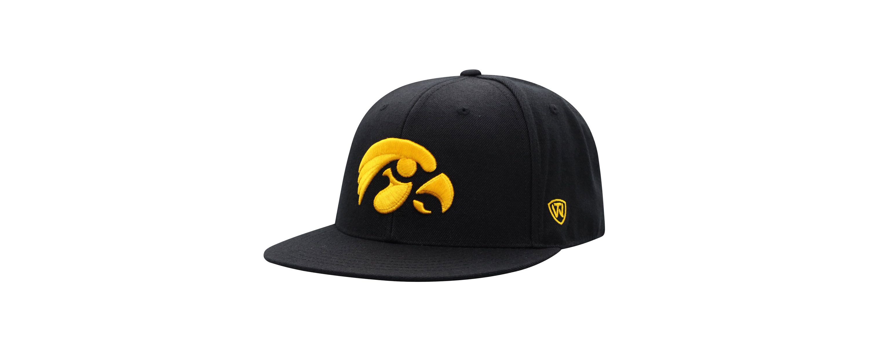 NCAA Iowa Hawkeyes Team Color Fitted Hat