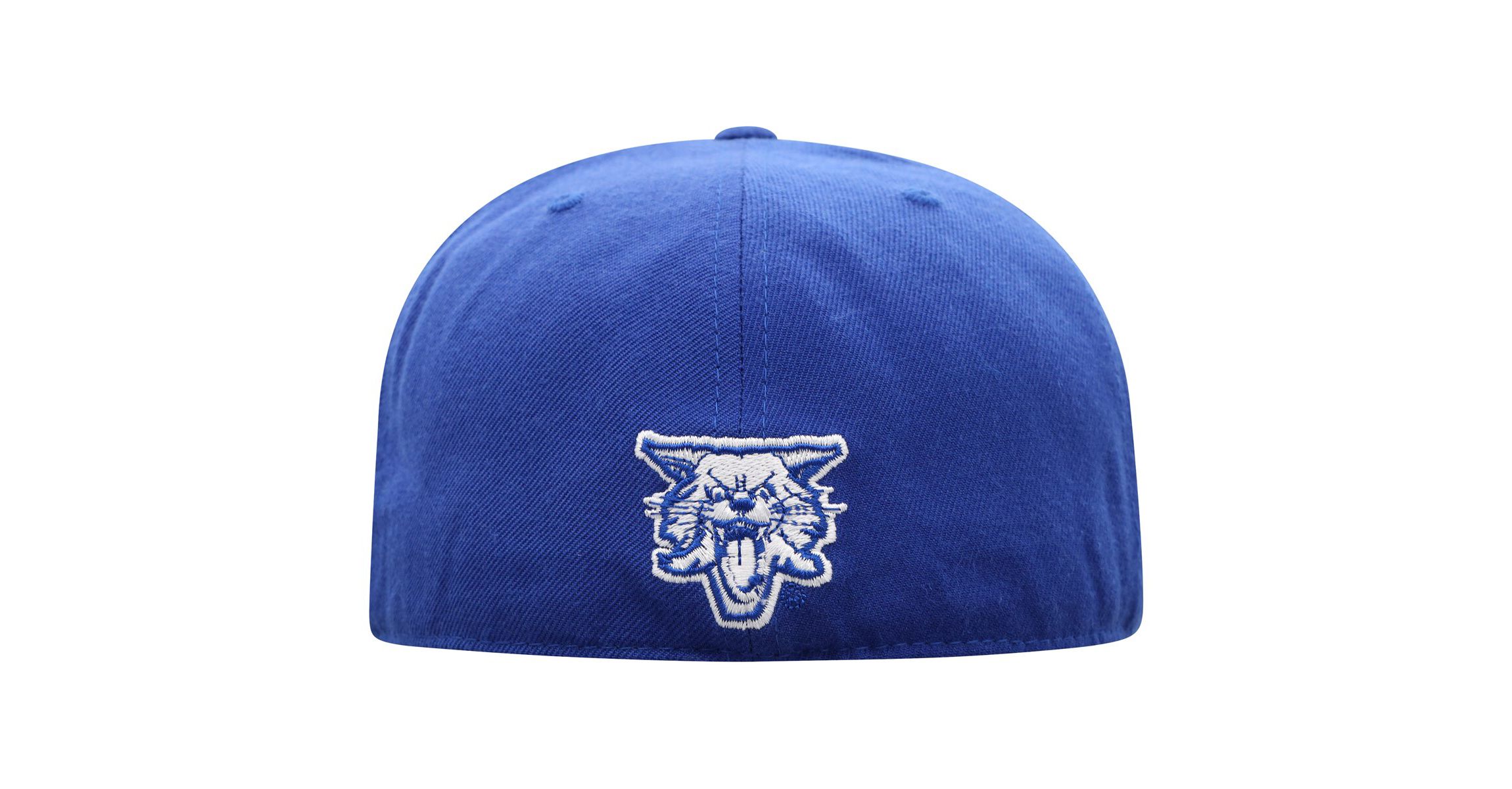NCAA Kentucky Wildcats Team Color Fitted Hat