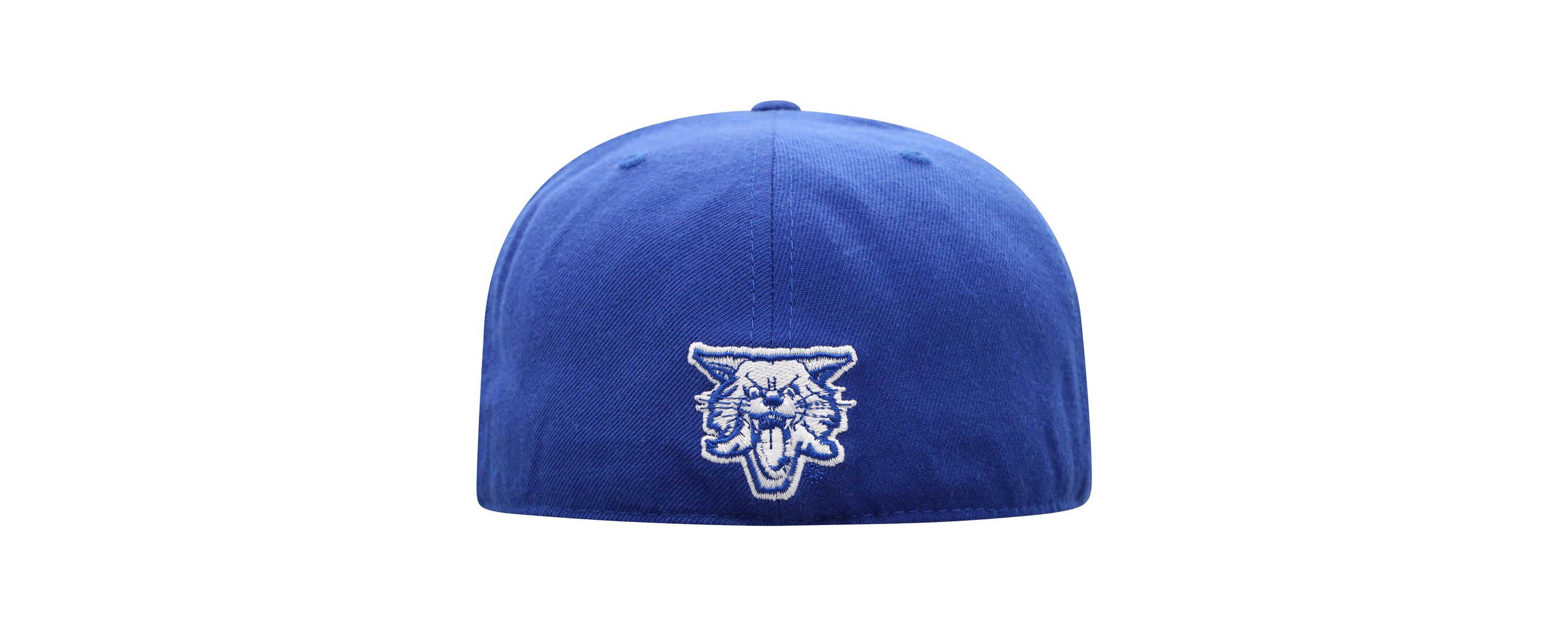 NCAA Kentucky Wildcats Team Color Fitted Hat
