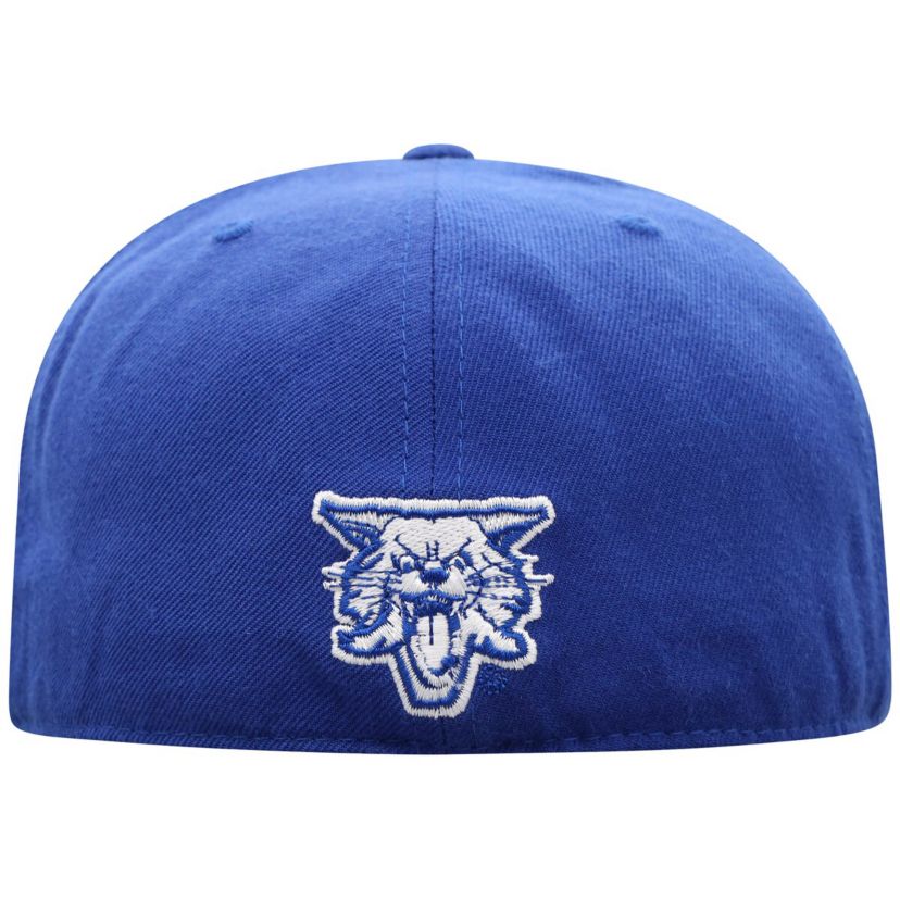 NCAA Kentucky Wildcats Team Color Fitted Hat