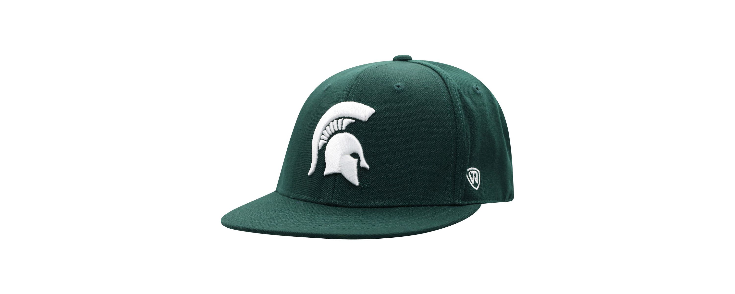 NCAA Michigan State Spartans Team Color Fitted Hat