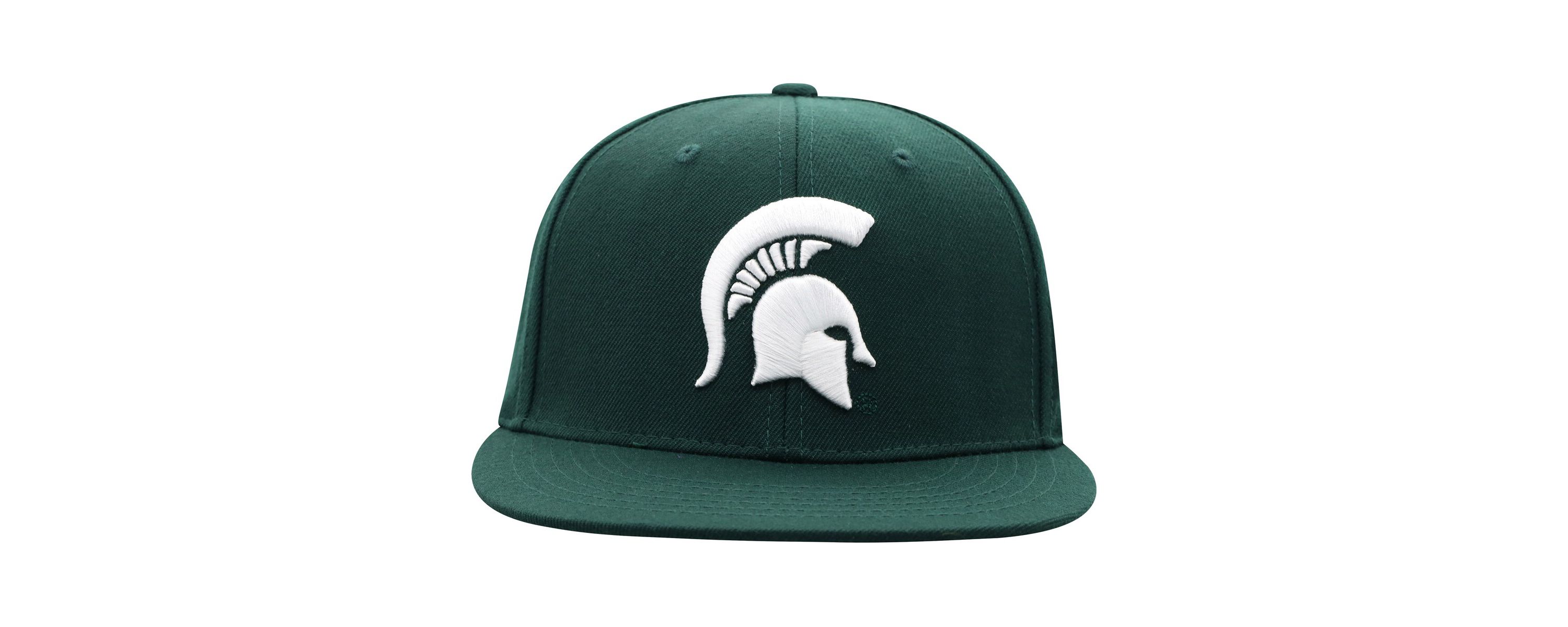 NCAA Michigan State Spartans Team Color Fitted Hat