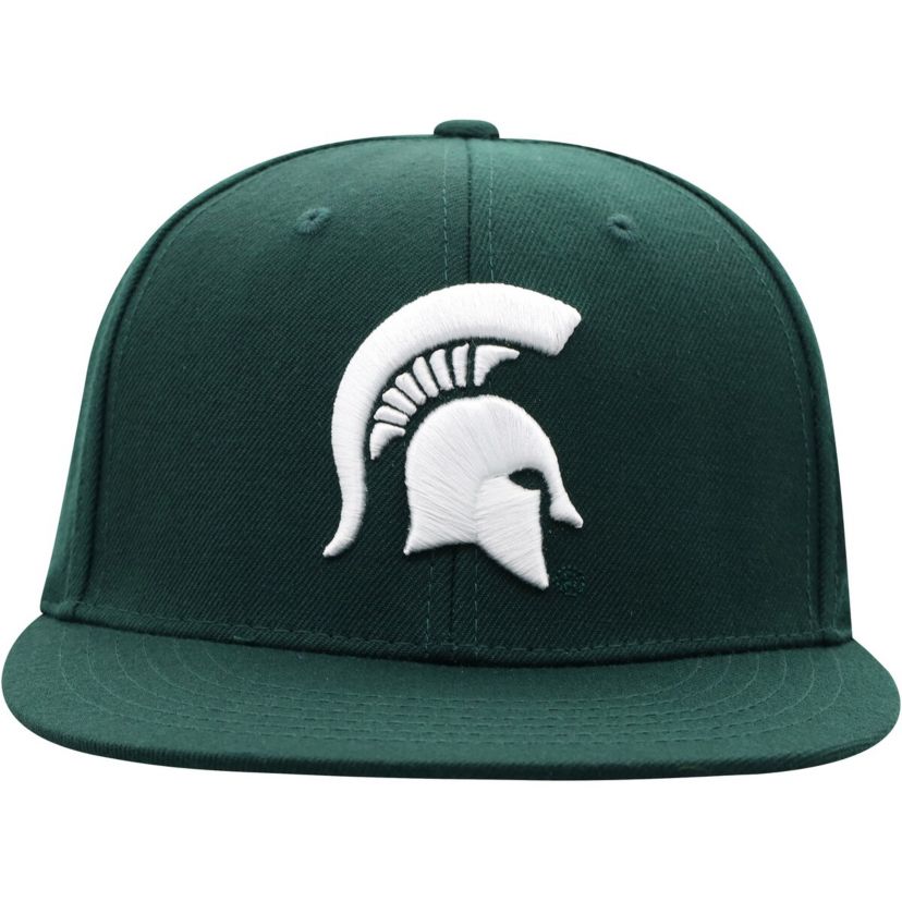 NCAA Michigan State Spartans Team Color Fitted Hat