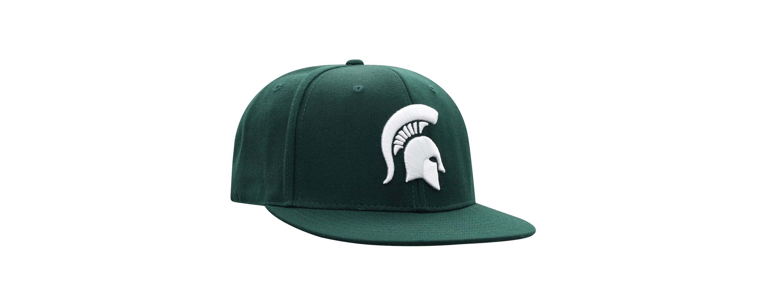NCAA Michigan State Spartans Team Color Fitted Hat