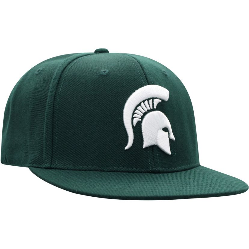 NCAA Michigan State Spartans Team Color Fitted Hat
