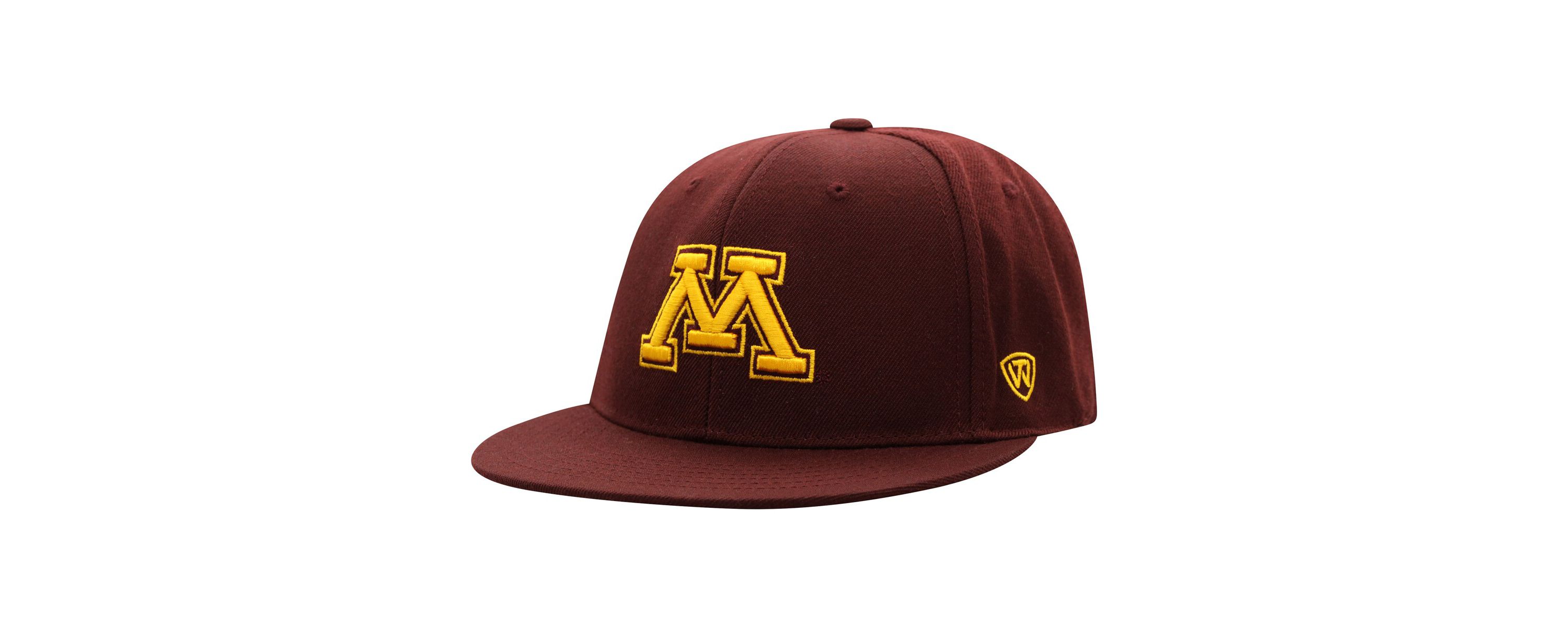 NCAA Minnesota Golden Gophers Team Color Fitted Hat