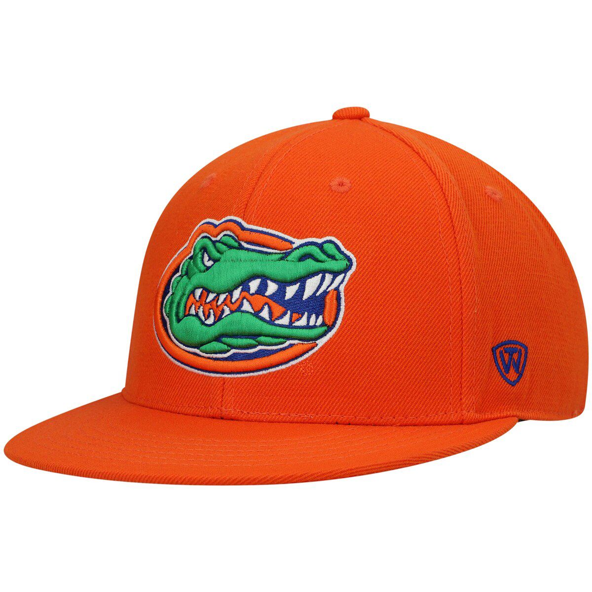NCAA Florida Gators Team Color Fitted Hat