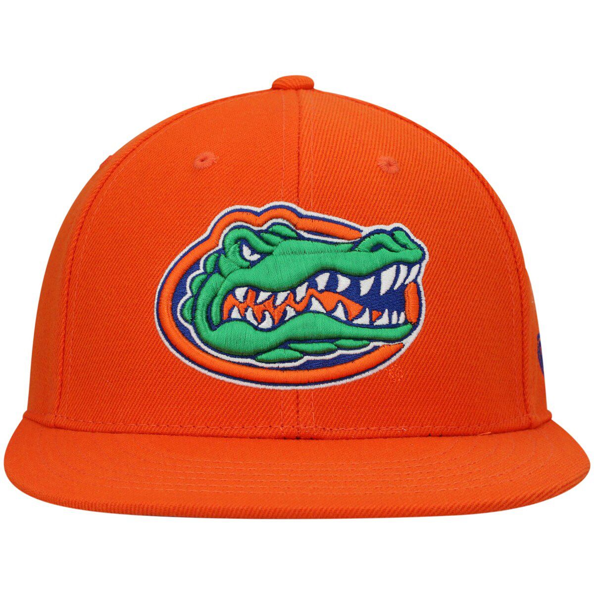 NCAA Florida Gators Team Color Fitted Hat