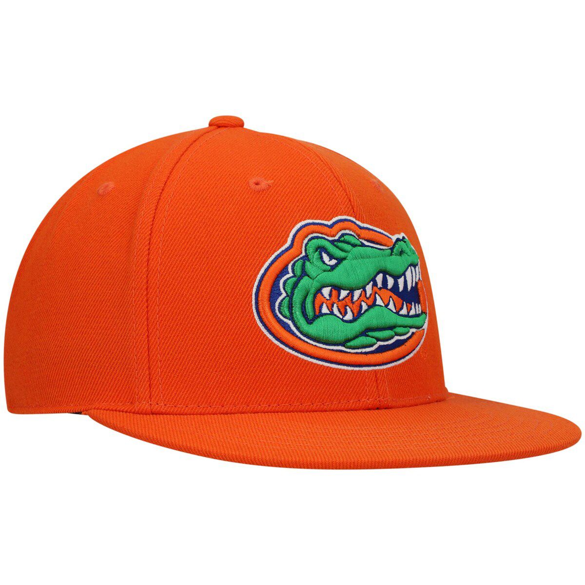 NCAA Florida Gators Team Color Fitted Hat